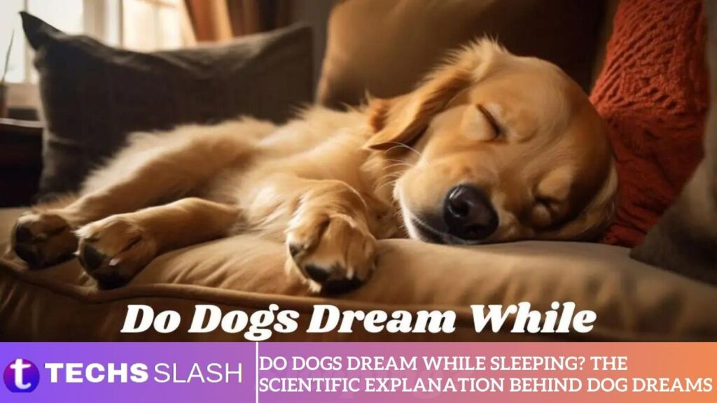 Do Dogs Dream While Sleeping? The Scientific Explanation Behind Dog Dreamsi Do Dogs Dream While Sleeping The Scientific Explanation Behind Dog Dreams