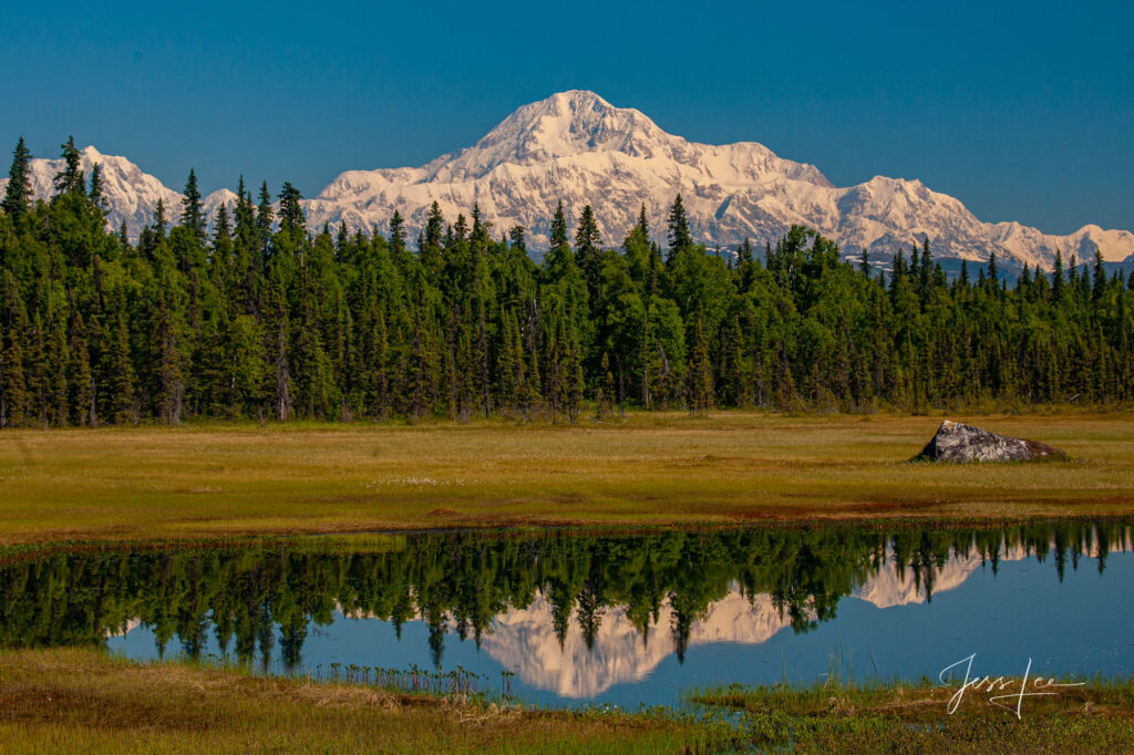 Photography in Alaska: Capturing Stunning Landscapes and Wildlife