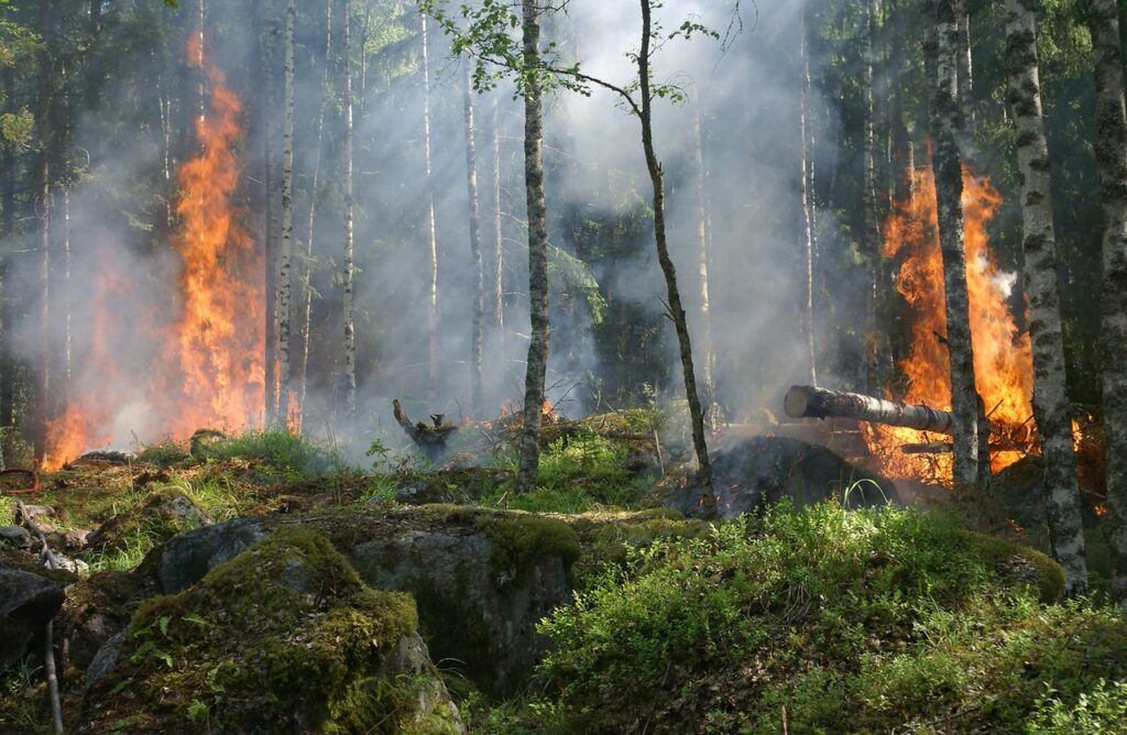 Predict Fire Hazards in Real Time: Data Analytics for Smarter Response pexels-pixabay-51951