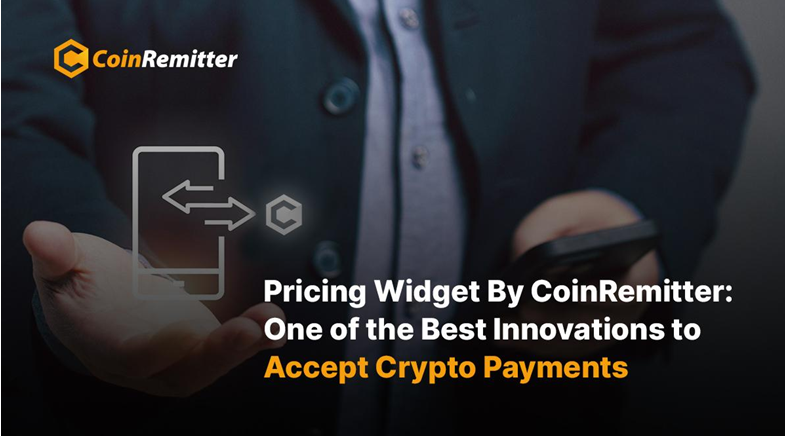 Pricing Widget By CoinRemitter: One of the Best Innovations to Accept Crypto Payments