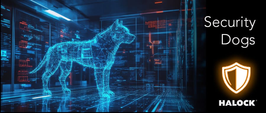 Electronic Detection Dogs Are The Innovative Security Asset Electronic Detection Dogs Are The Innovative Security Asset