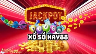 What Makes hay88 a Popular Online Platform?
