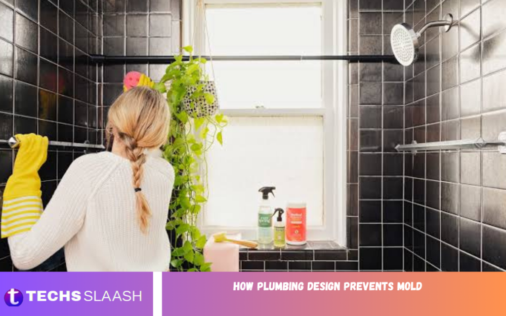 Plumbing Design Prevents Mold