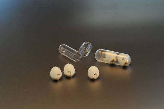Why Does Capsule Delivery Matter?