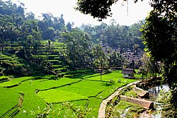 West Java Province: The Cultural, Economic, and Tourism Hub of Indonesia