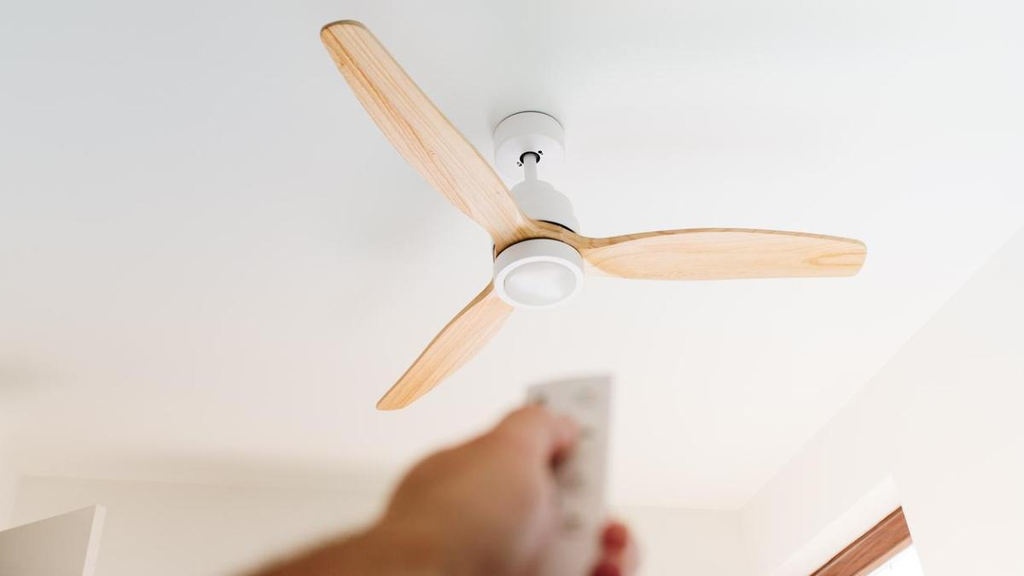 Buy Ceiling Fans Online: A Guide to Comparing Models and Features