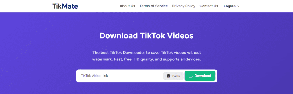 12 Top TikTok Downloaders for High Quality Videos