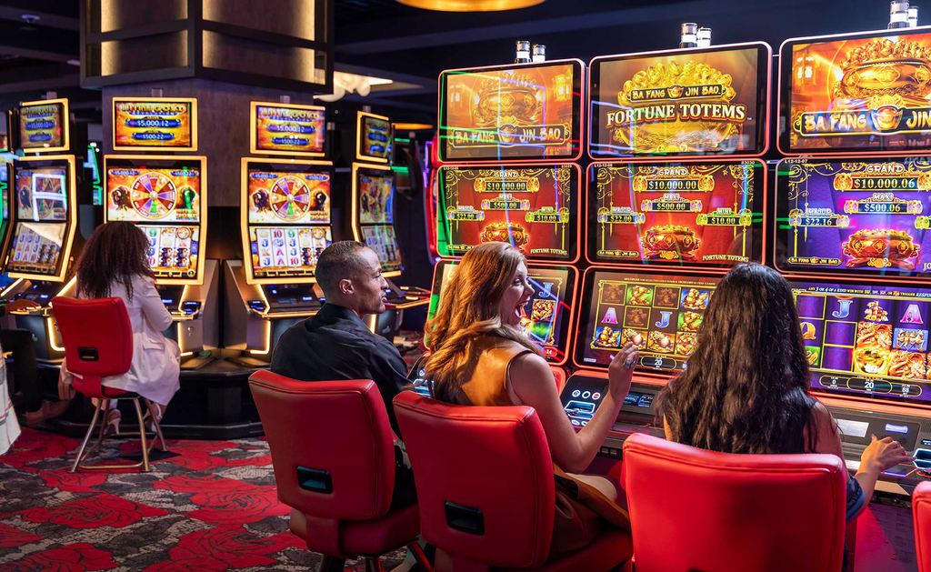 A Beginner’s Guide to Exploring daywinbet Online
