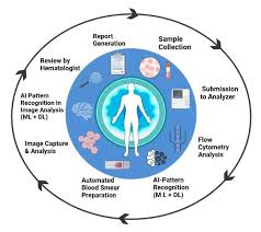How Automated Cell Imaging Systems Improve Cell Analysis and Research Workflows