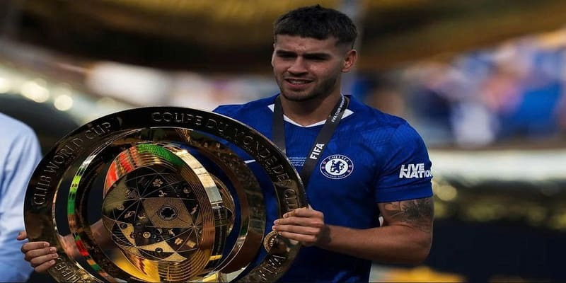A Practical Overview of the 8xbet Platform
