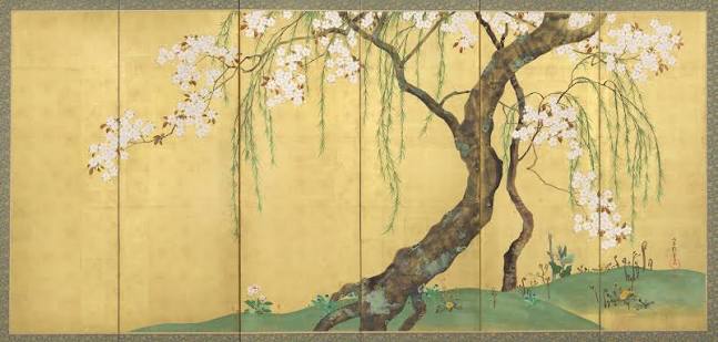 Tokyo Rinpa Tsubo: Everything You Need to Know