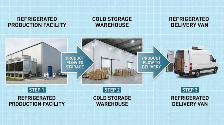 From Dispatch to the -20°C Freezer: Cold-Chain and Storage Technology for Research Compounds